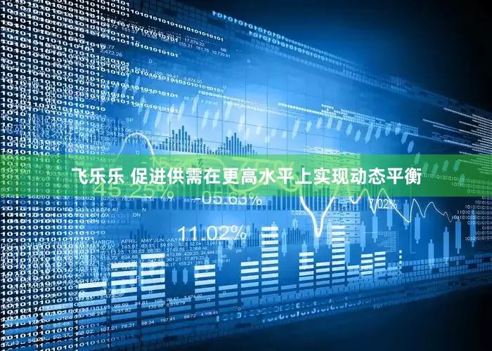 飞乐乐 促进供需在更高水平上实现动态平衡