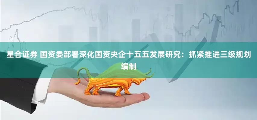 星合证券 国资委部署深化国资央企十五五发展研究：抓紧推进三级规划编制
