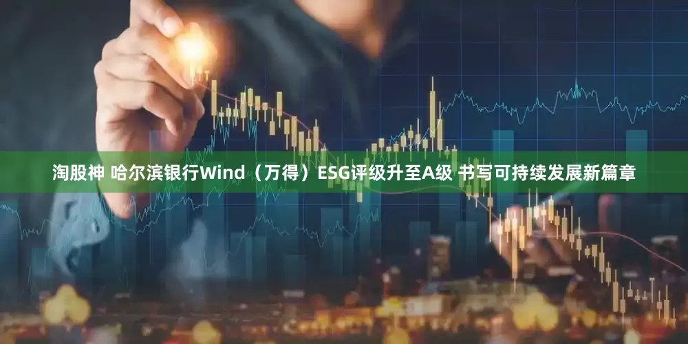 淘股神 哈尔滨银行Wind（万得）ESG评级升至A级 书写可持续发展新篇章